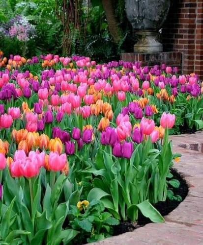 FB_IMG_1650654512327