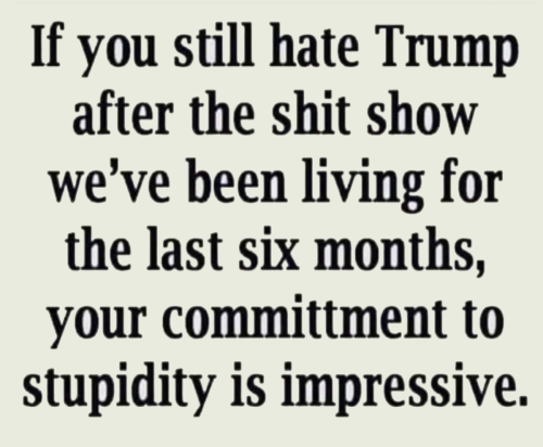 M hate Trump