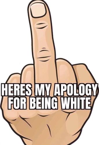 apology