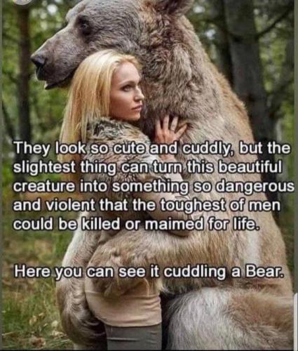 5154e1b6-8c43-444f-b52a-18a7e5052c2c