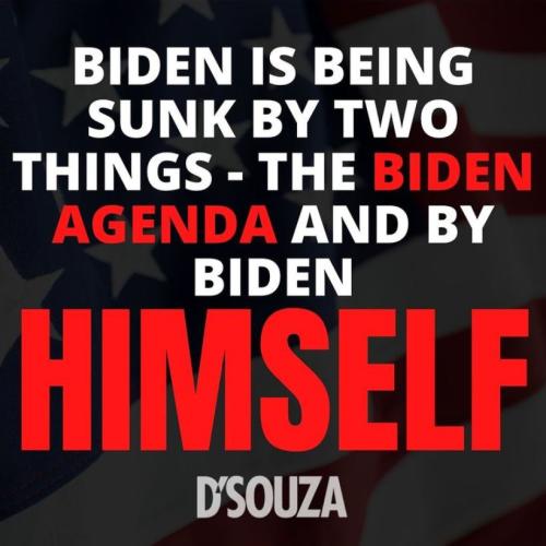 bidensunk
