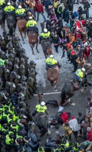 8cc49c1b3079bf0f8a018d32634c955a