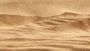 042422 - Feeling Dusty