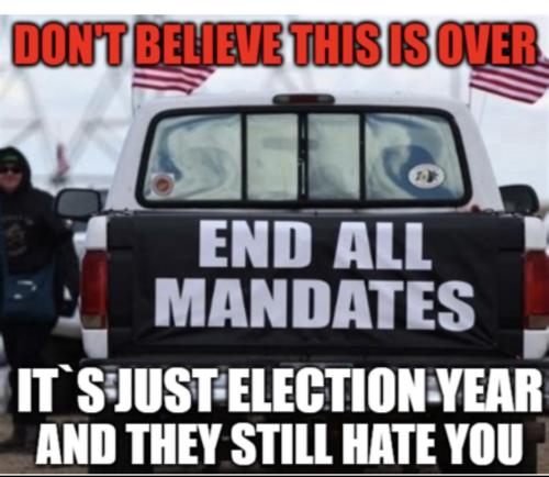 C3BA169B-D8BA-4CEE-86BB-145AB31DD95E