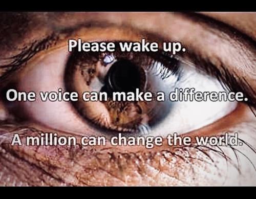 C254704D-0E9E-4E5E-8257-0CB484373A9D