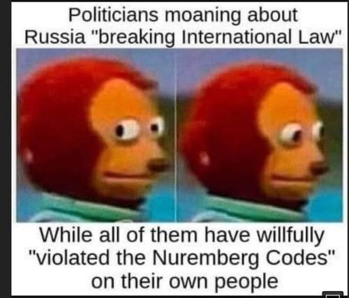 275233012_172380735122576_4992377074388075562_n