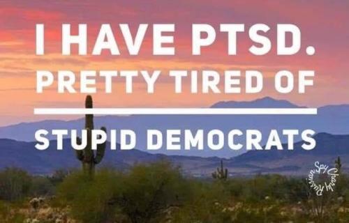 52822929_2495884990483523_938049092561403904_n