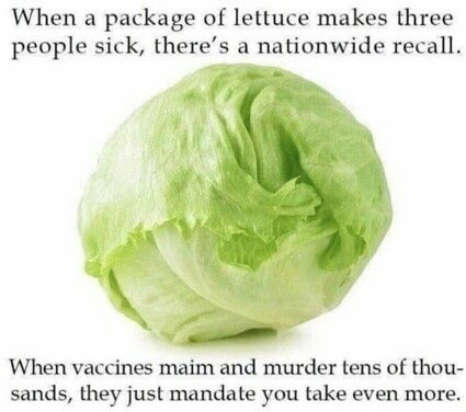 lettuce