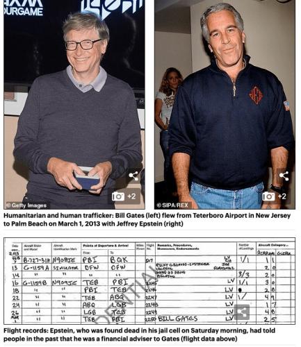 Lolita log bill gates
