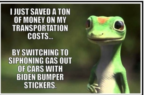 biden bumper stickers