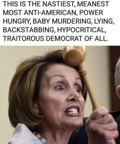 Pelosi 201