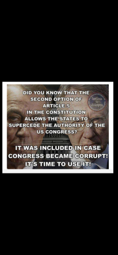 26F99F71-7289-4E3A-BEB3-C1E09477FC17