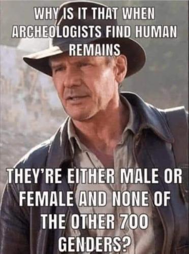 human remains male or female