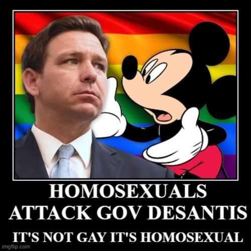 MICKEYANDHISHOMOSEXUALBUDDIESGOAFTERGOVDESANTIS