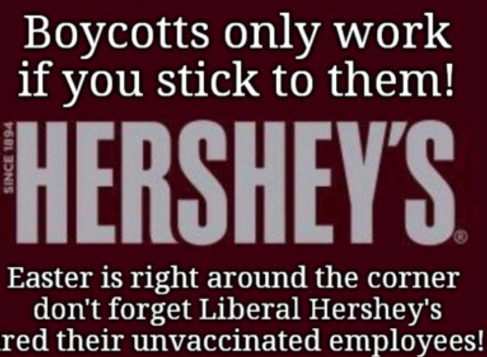 Capture+_2022-04-14-00-44-08(1)(1)