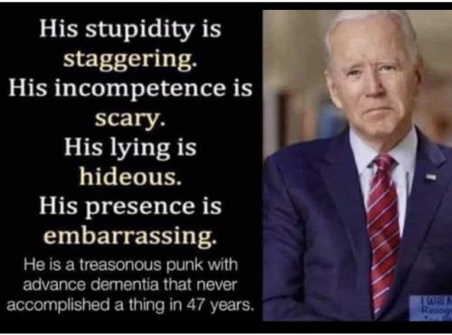 HIS STUPIDITY