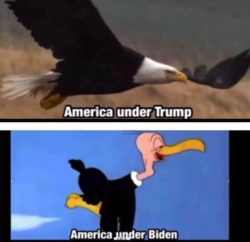 trumpbiden
