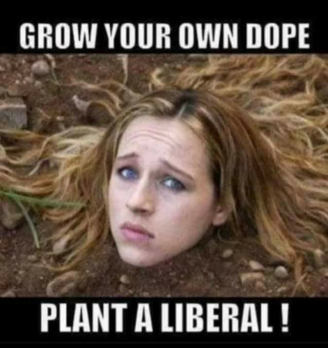 1649094955802_hub_od_