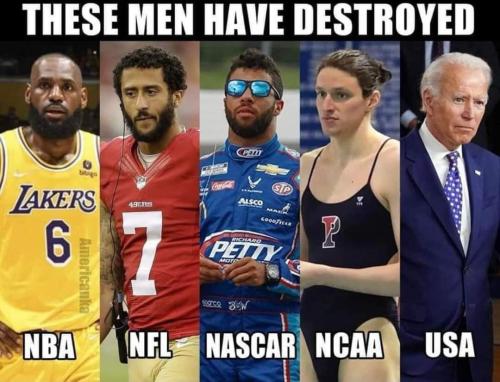 Faggot - these cockroaches have destroyed specific area