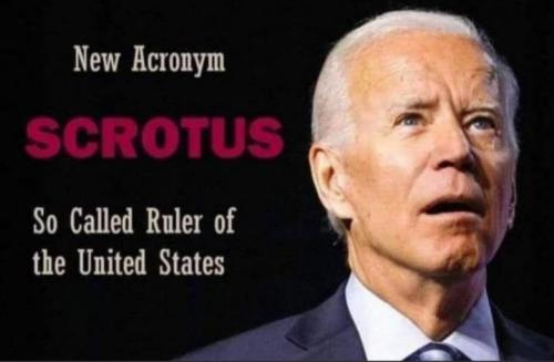 scrotus