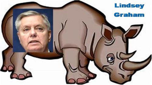 RINO_Lindsey_Graham