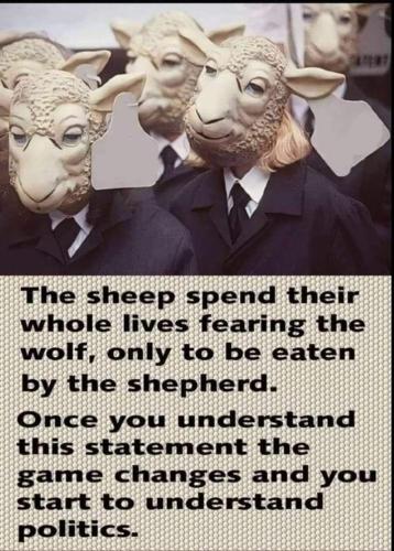 C6579A58-5448-425D-93C3-C61F2F10B42A