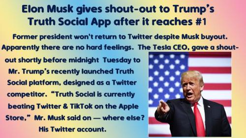Elon Likes Trump