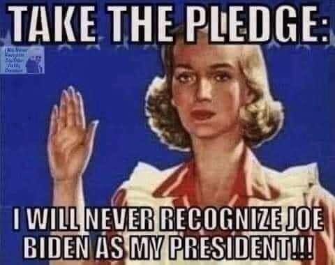 M Pledge