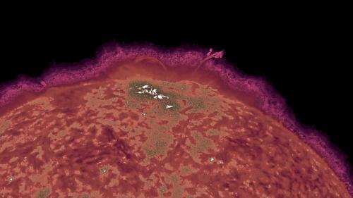 vlcsnap-2022-03-20-19h58m46s749 copy2