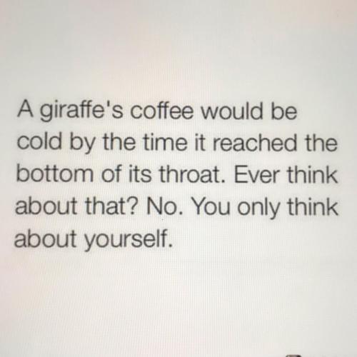 8555BF0B-6750-486D-90D7-F041298D2564