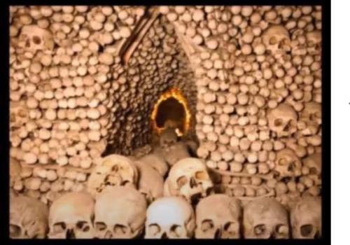 photo_2021-02-19_12-22-43