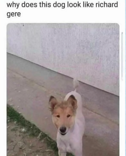 Screenshot_20220405-022220~2