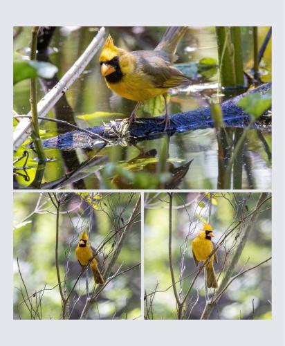 FB_IMG_1651010651250