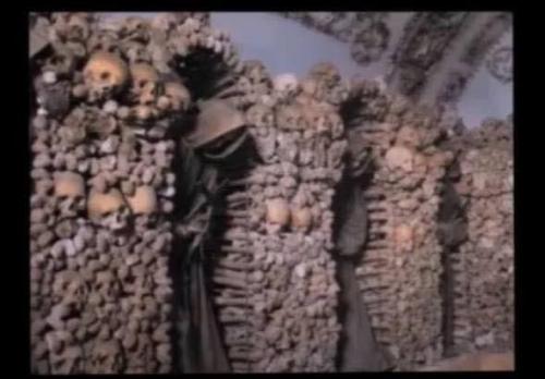 photo_2021-02-19_12-22-51