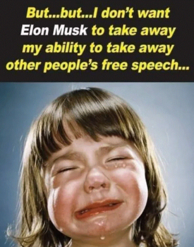 Capture+_2022-04-25-17-35-43(1)