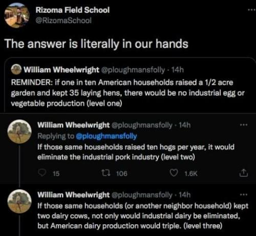 THE ANSWER