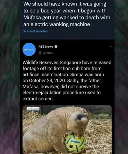 Screenshot_20220411-213920~2