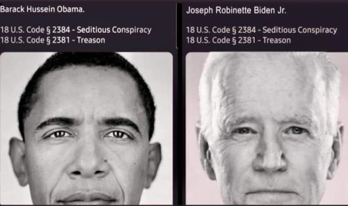 Obama Biden sedition