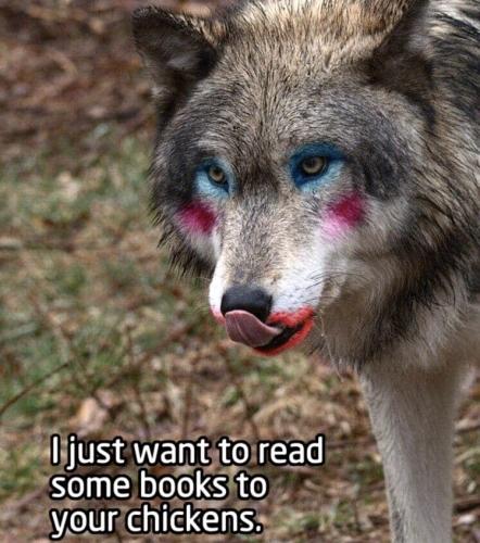 11ABC95C-DB1C-4AE0-B0B6-EF1B6E43973F