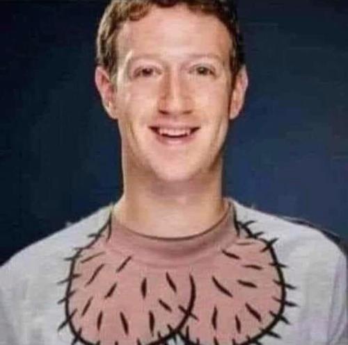 zuckernuts