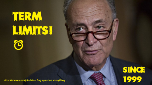 Chuck Shumer w link
