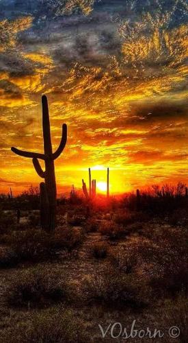 FB_IMG_1621434948982