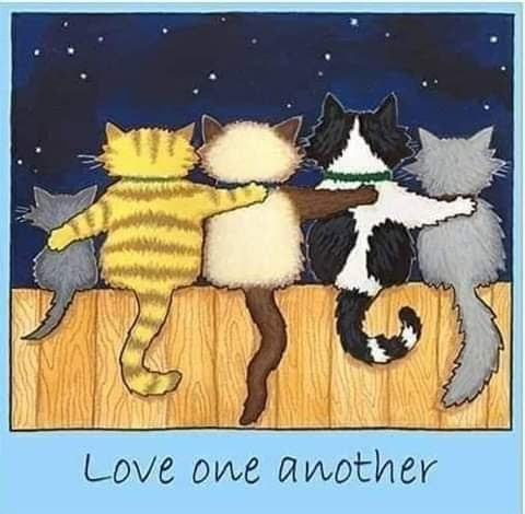 FB_IMG_1615147790389