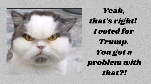 Pissed Off Pussycat