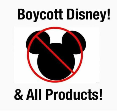 c871c2f32cff35ebff597268f80ed40f_500x0