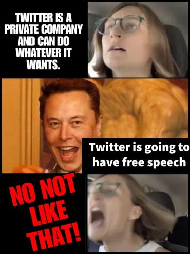 TwitterPrivateCompanyCanDoWhatever