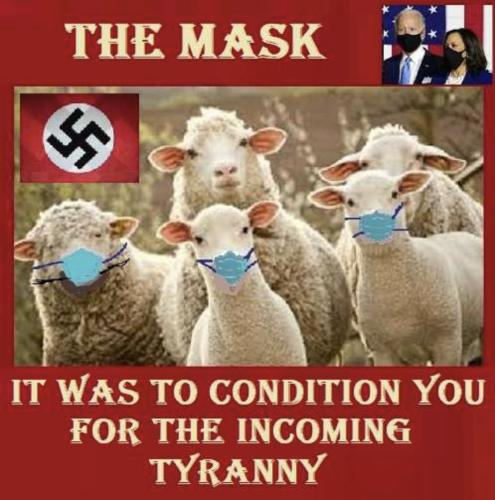 B4CB2F35-938D-4EAF-925C-41DE9B60FC4A