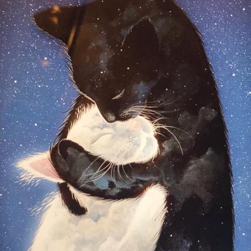 BCF83ED5-FEC5-4EAB-A013-630D0F32958F