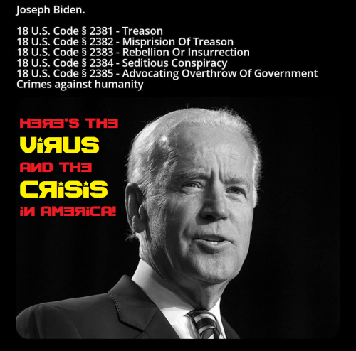 virus and crisis