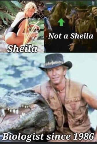 shiela